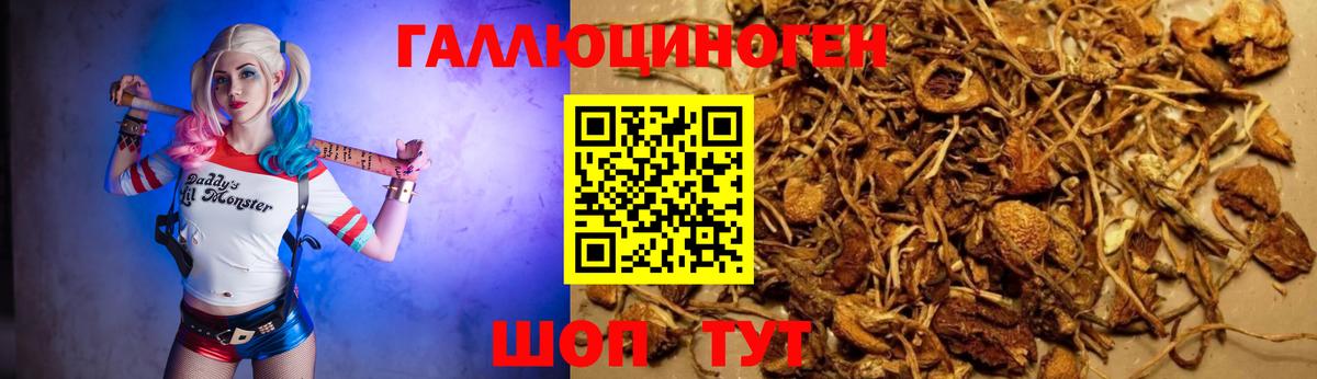 Псилоцибиновые грибы GOLDEN TEACHER Елабуга