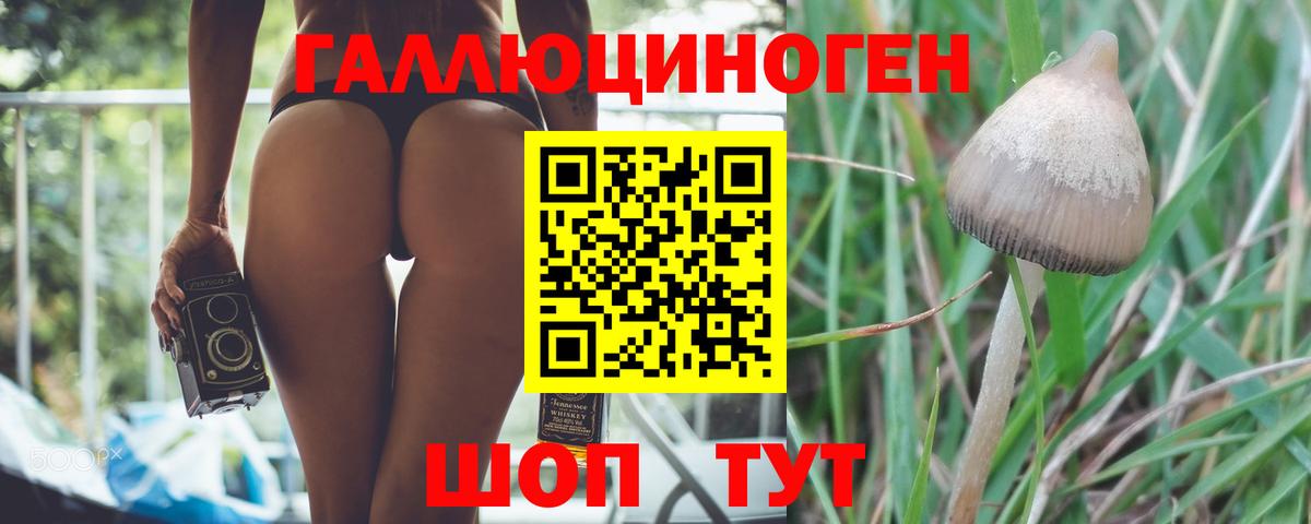 Псилоцибиновые грибы мицелий  Вход с VPN  магазин продажи наркотиков  Елабуга 